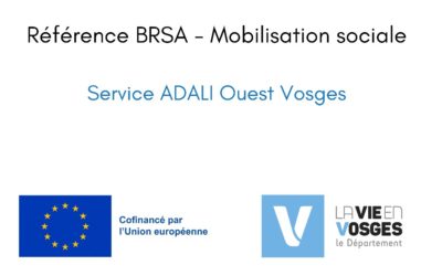 Référence BRSA – Mobilisation Sociale : des solutions pour l’inclusion en milieu rural