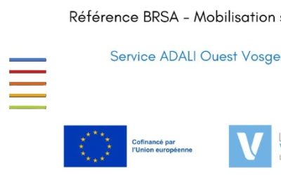 Accompagnement des bénéficiaires du Revenu de Solidarité Active (BRSA)